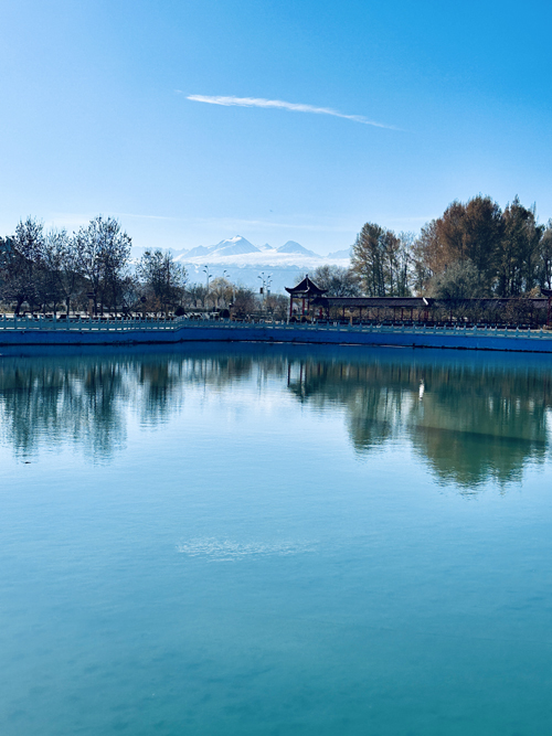 郑州大学张建华教授 张建华教授赴新疆哈密市伊吾县,参加其创建国家级创新县(市)考察与验收评审活动